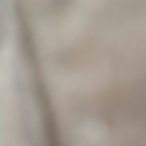 Meet your Posher, Celeste